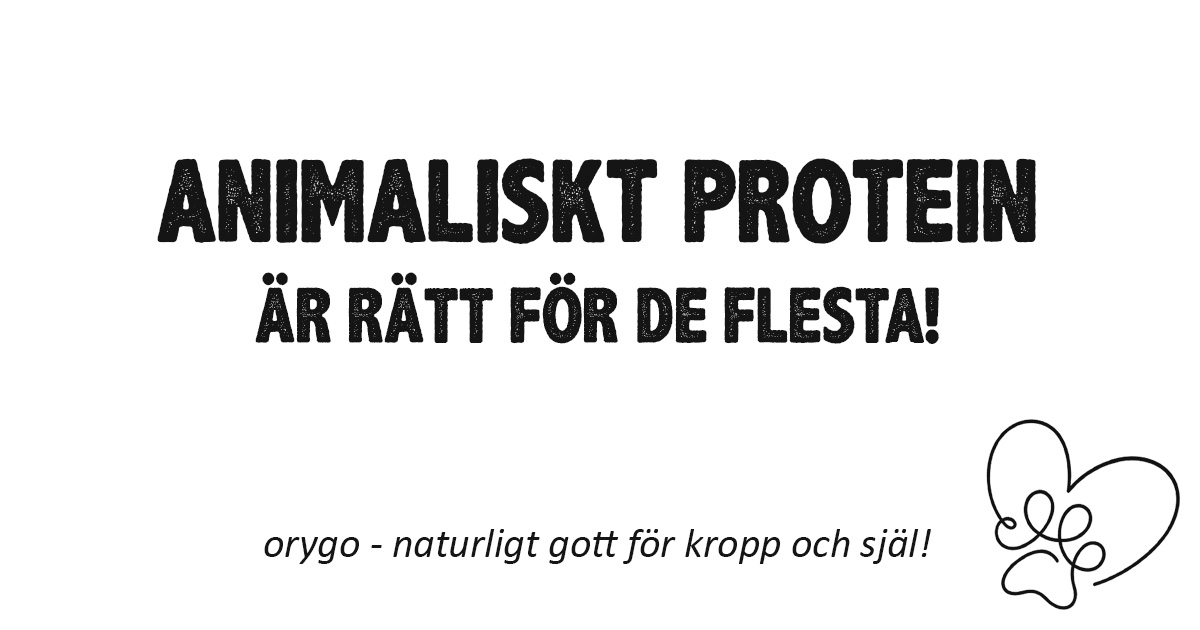 Protein i hundmat