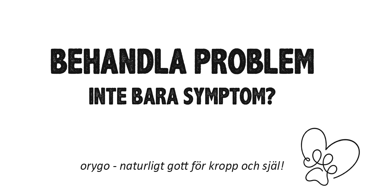 Behandla hundens problem
