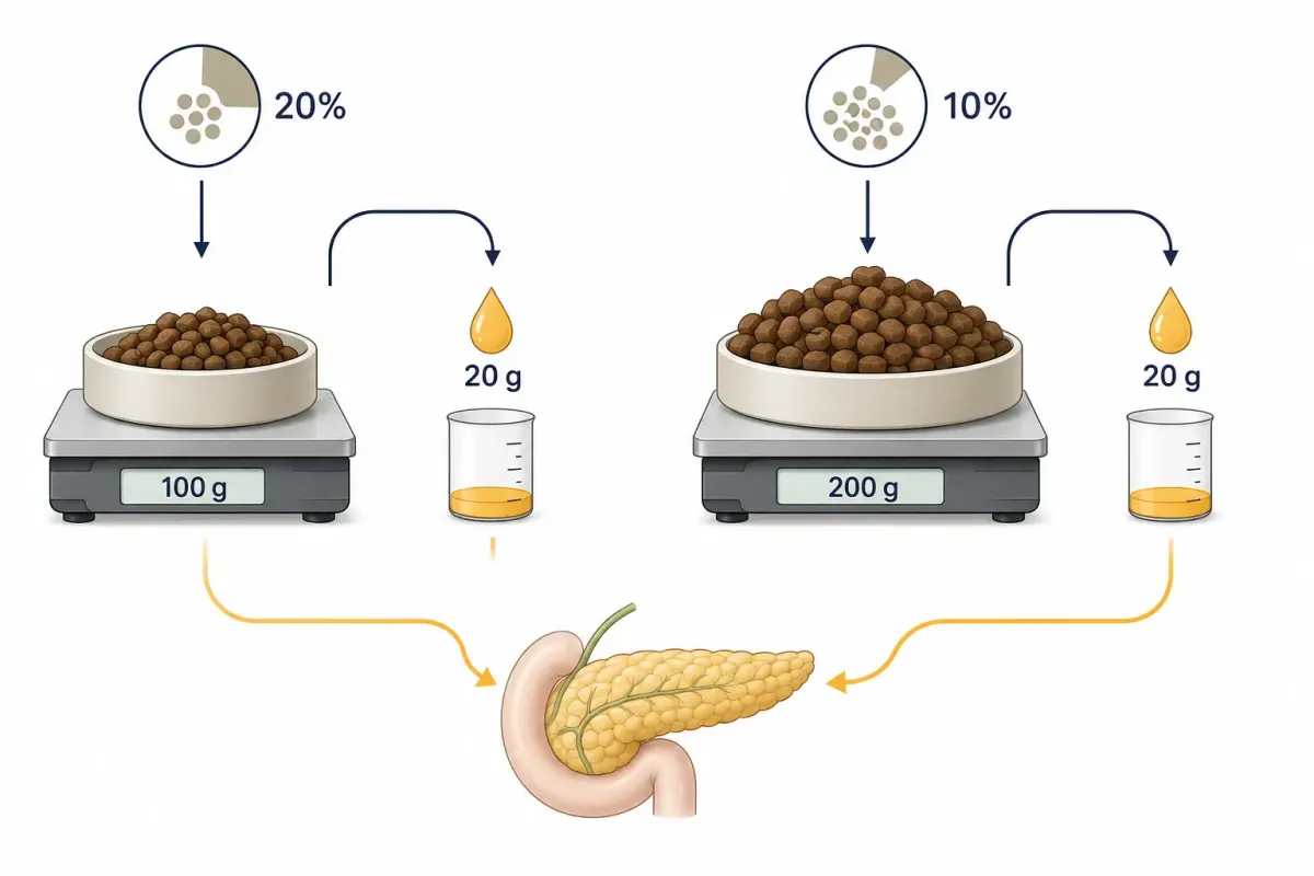 Vetenskaplig jämförelseillustration där 100 gram hundfoder med 20 procent fett och 200 gram hundfoder med 10 procent fett båda ger 20 gram fett.