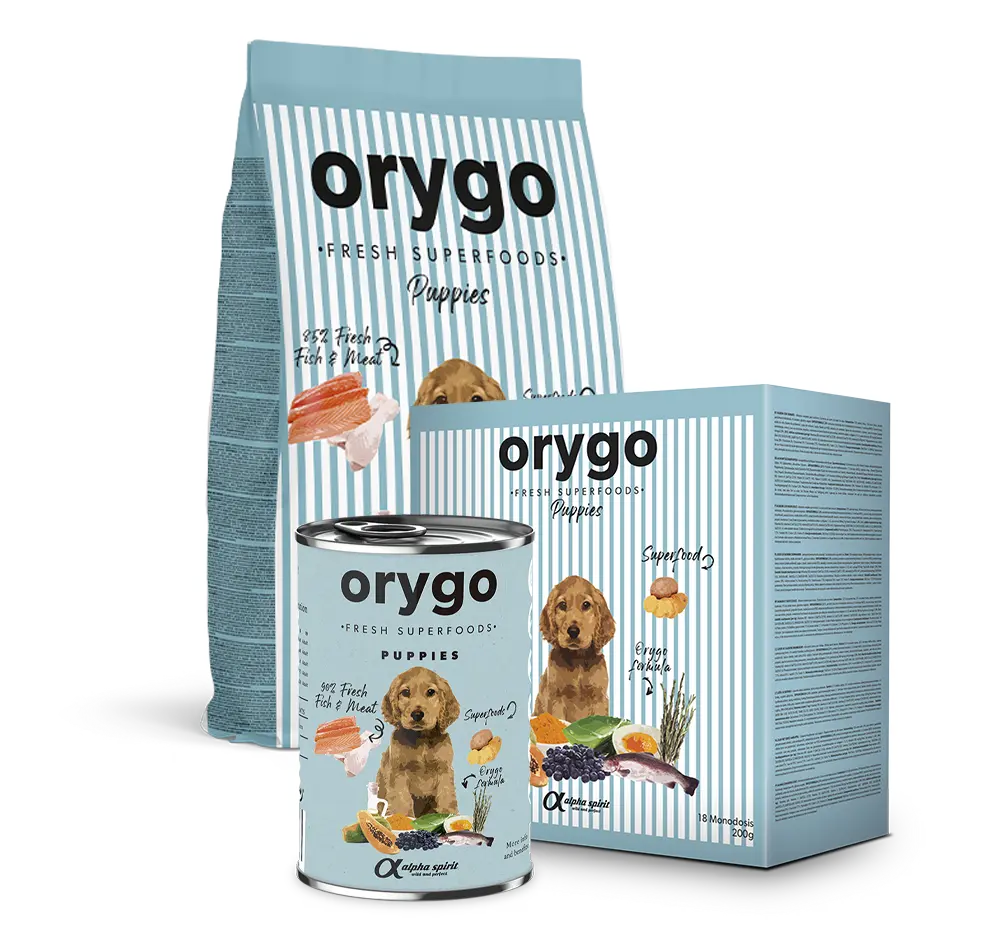3x orygo puppies