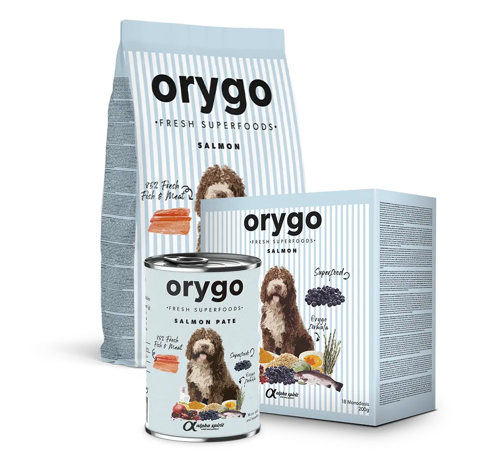 ORYGO Puppies
