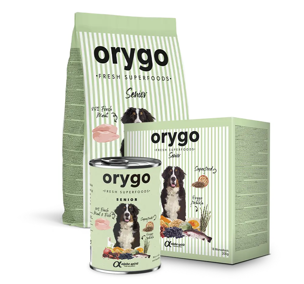 ORYGO Puppies