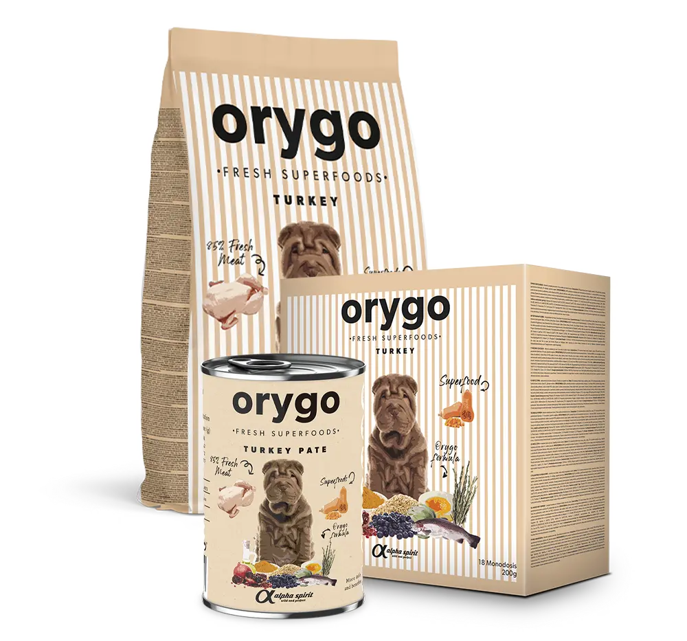 ORYGO Puppies