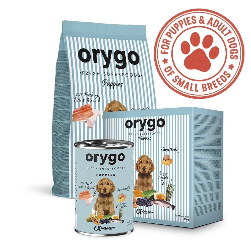 3x orygo puppies